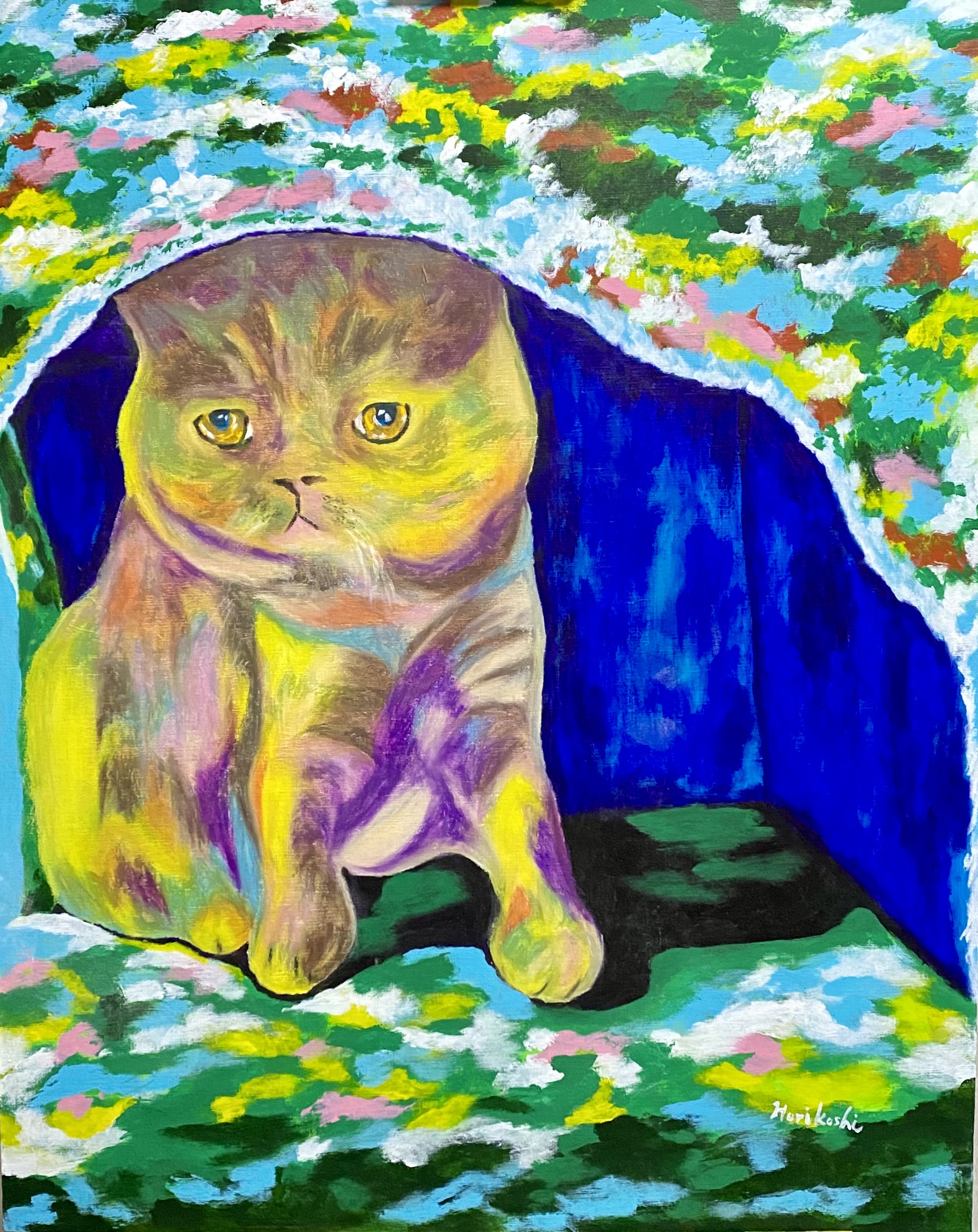 猫のいる暮らし