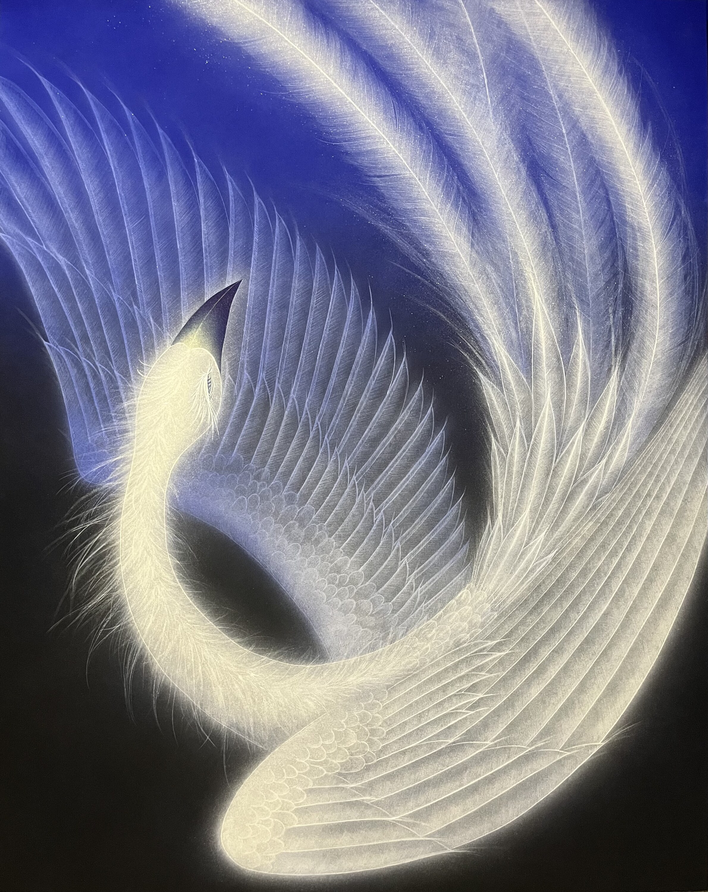 Infinityｰ鳳凰ｰ